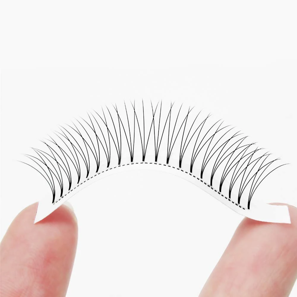 3D FAN LASHES