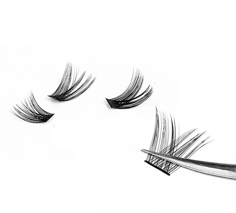 big lash tray big lash tray